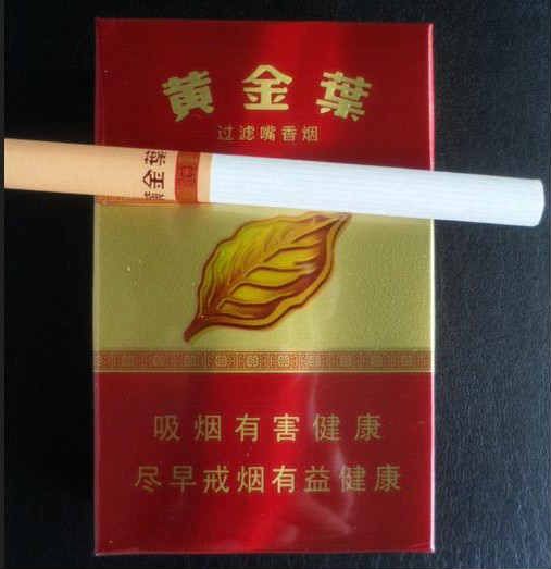 黄金叶鸿运