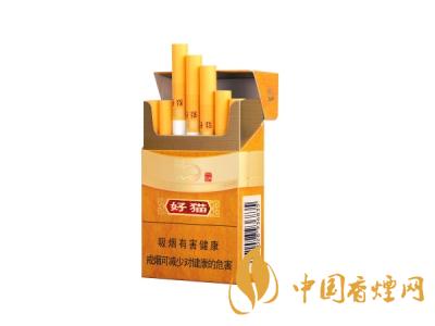 好猫（非常好猫）图片