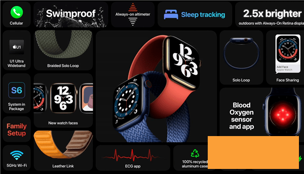 苹果手表6和SE有什么不同-苹果手表6和SE规格参数对比