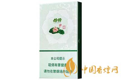 荷花绿水青山多少钱 荷花绿水青山香烟价格查询