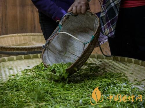 黄花云尖茶叶礼盒价格 黄花云尖多少钱一斤
