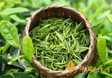 崂山绿茶价格表和图片 崂山绿茶功效与作用