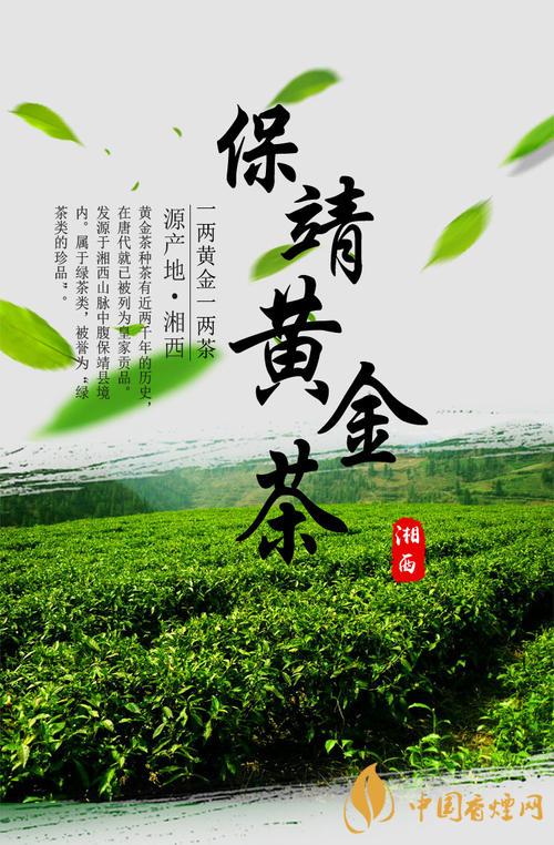 保靖黄金茶多少钱一斤 保靖黄金茶属于什么茶