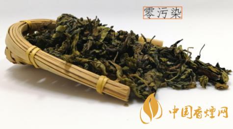 长白山丁香茶怎么样 长白山丁香茶功效与作用大全