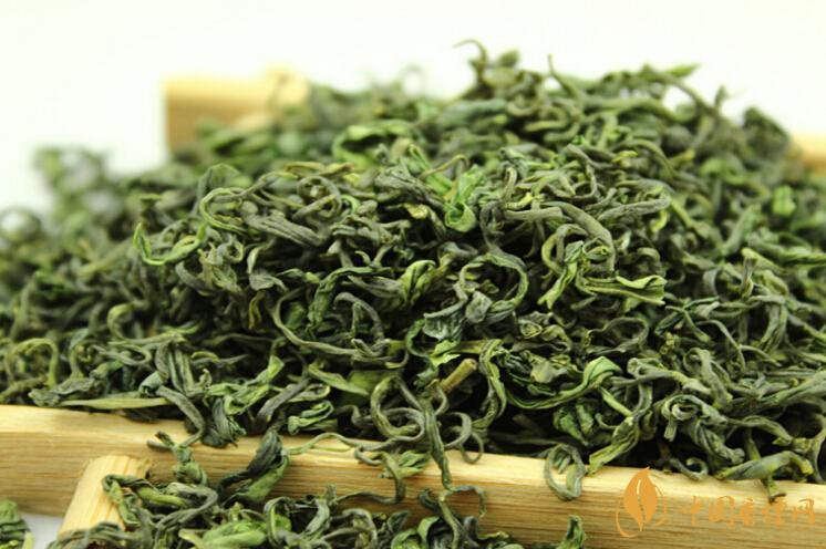 海青绿茶价格表和图片大全 海青绿茶多少钱价格