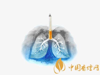 烟越贵越伤身体 假烟又是假在哪里?