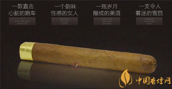 大卫杜夫雪茄(金装美味)价格表图 大卫杜夫金装美味多少钱