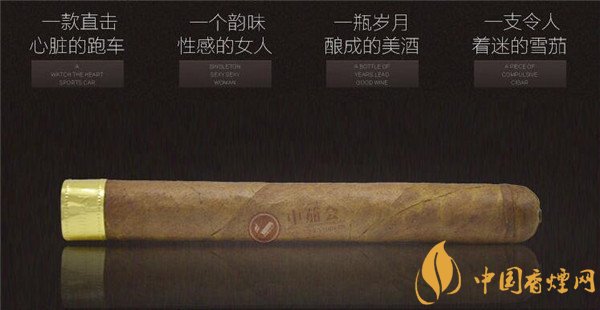 大卫杜夫雪茄(大卫杜夫金装名士)怎么样 大卫杜夫金装名士好抽吗?