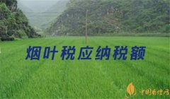 烟叶税属于什么税种(行为税) 烟叶税是国税还是地税