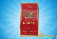 印尼盐仓12支价格多少钱 印尼GUDANG GARAM(盐仓)香烟价格16元/包