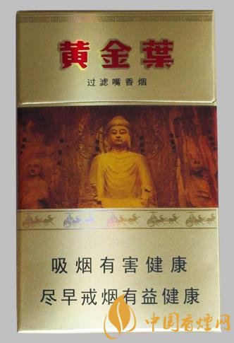 黄金叶(龙门)