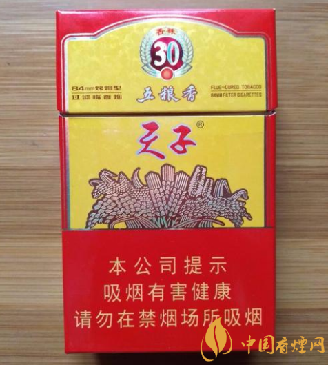 天子(重庆1997)