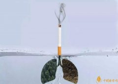 吸烟的危害有哪些 戒烟的方法介绍