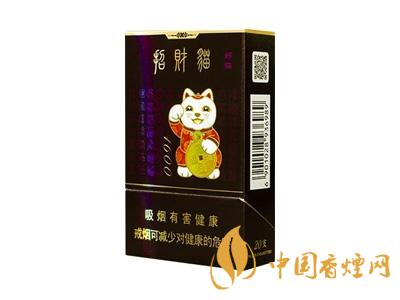 好猫（招财进宝1600）图片