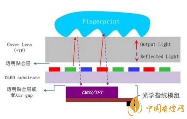 华为畅享20plus有没有指纹锁-支持指纹解锁吗