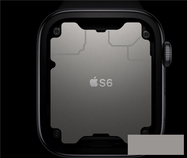 苹果手表6和SE有什么不同-苹果手表6和SE规格参数对比