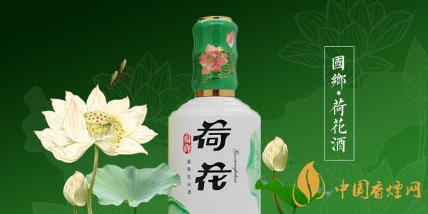 荷花酒最新售价一览 2020荷花酒价格及种类介绍