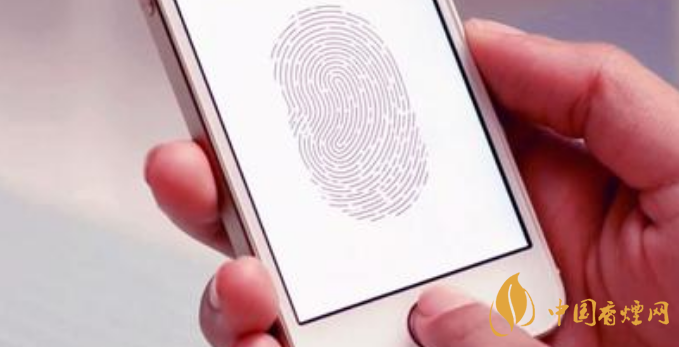 iPhone或将重新使用Touch ID 实体Home键将取消