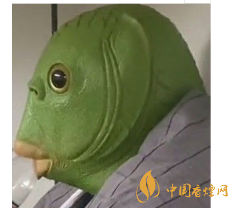 绿头鱼如何喝水 抖音绿头鱼头套表情包