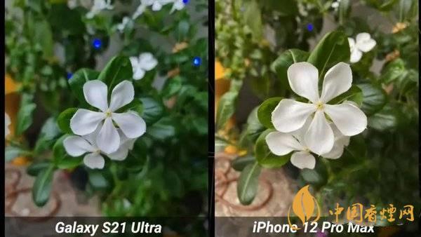 三星s21ultra镜头参数 三星s21ultra和iphone12promax拍照对比