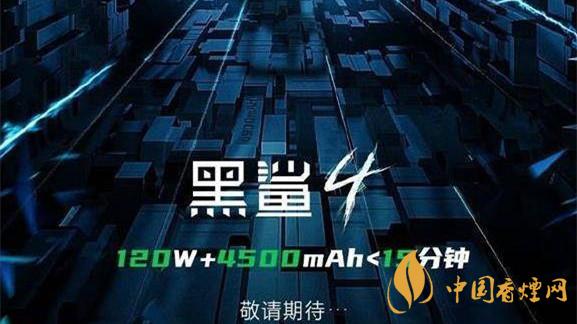 黑鲨4最新消息 黑鲨4代什么时候出