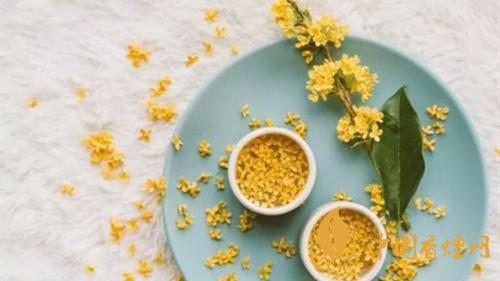 桂花茶喝了有什么好处 桂花茶的功效与作用2021最新介绍