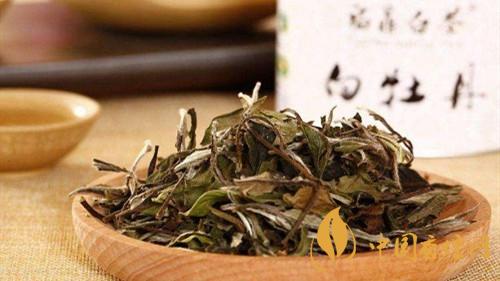 福鼎大白茶和小白茶有区别吗 大白茶和小白茶的区别分析