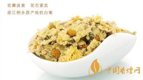 杭白菊茶的功效与作用及禁忌介绍2021