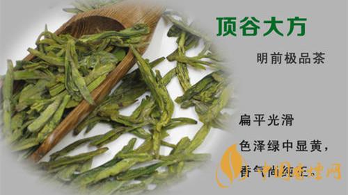 老竹大方茶市场价多少钱一斤 老竹大方茶市场最新报价