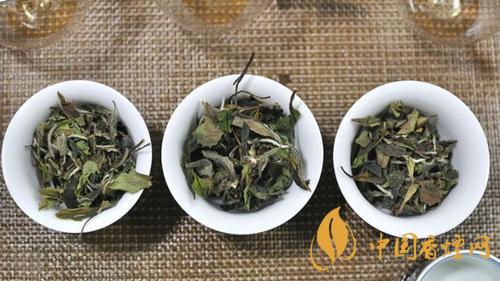 南山寿眉属于什么茶类 南山寿眉功效最新介绍
