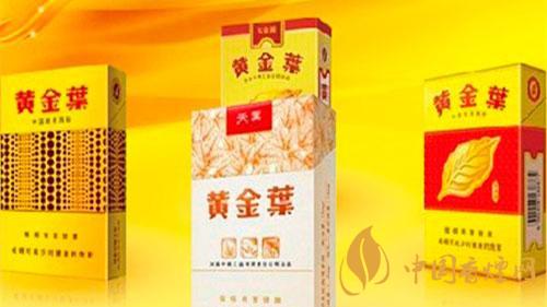 黄金叶哪款性价比高-黄金叶性价比高最新排行