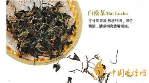 白露茶属于什么茶类 白露茶的功效与副作用介绍