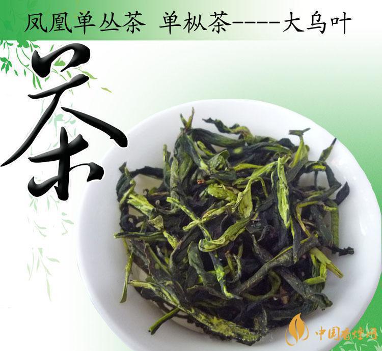 凤凰单枞属于什么茶 凤凰单枞的功效与禁忌