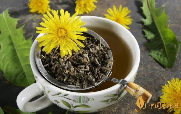 蒲公英茶可以天天喝吗 蒲公英茶功效及作用介绍