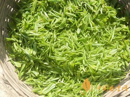 绿茶怎么冲泡最好 怎么冲泡绿茶口感最佳