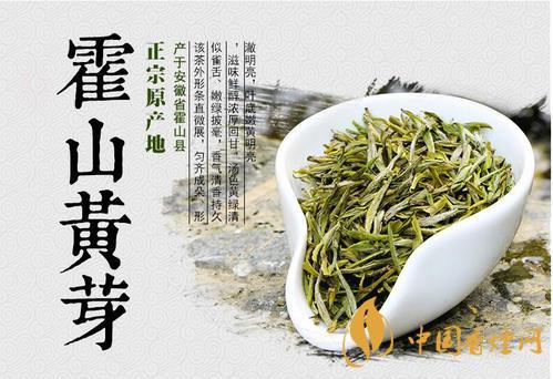 霍山黄芽属于什么茶-霍山黄芽茶叶价格2021