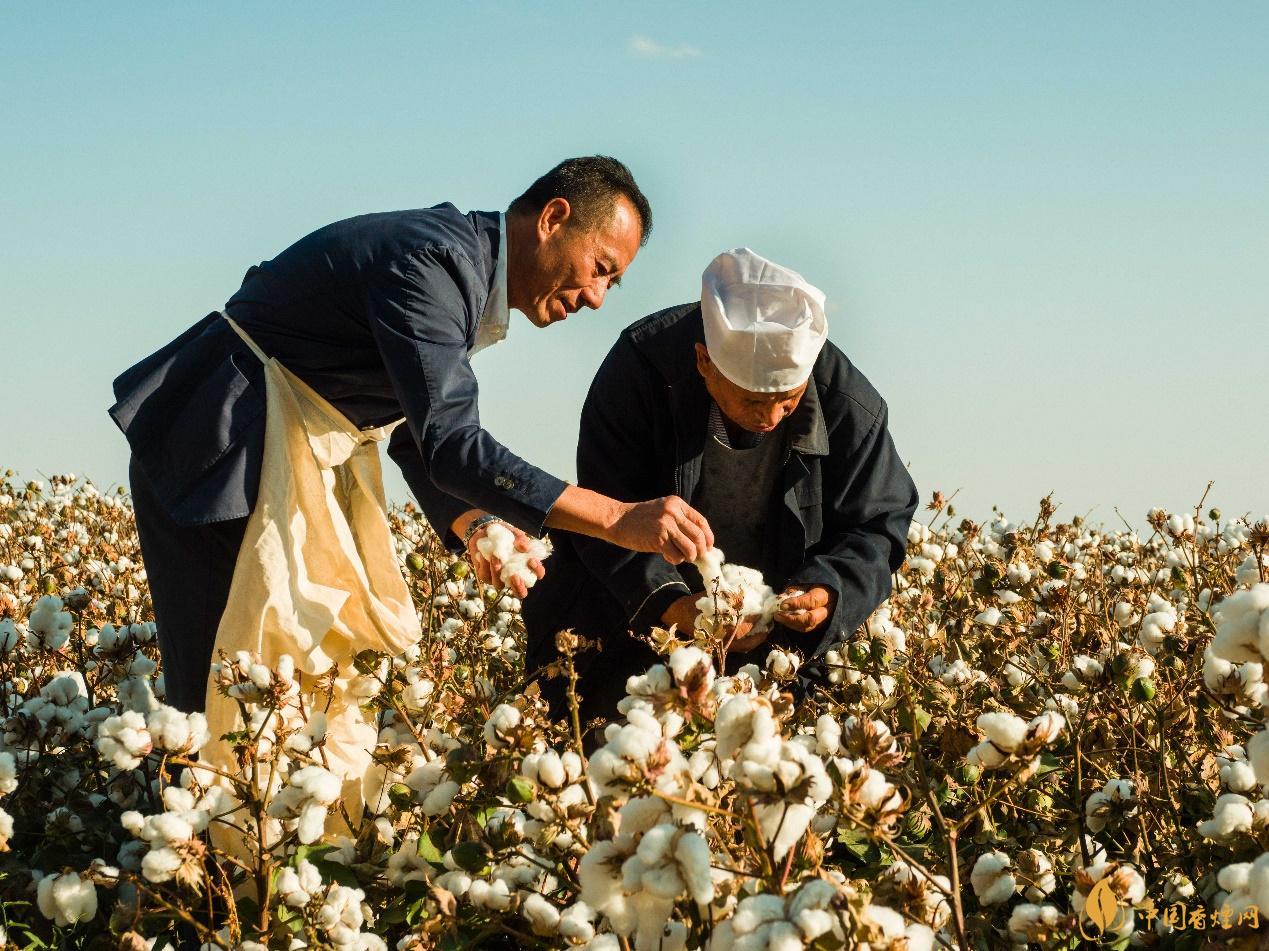 新疆棉花怎么回事 新疆棉花事件始末经过详情一览