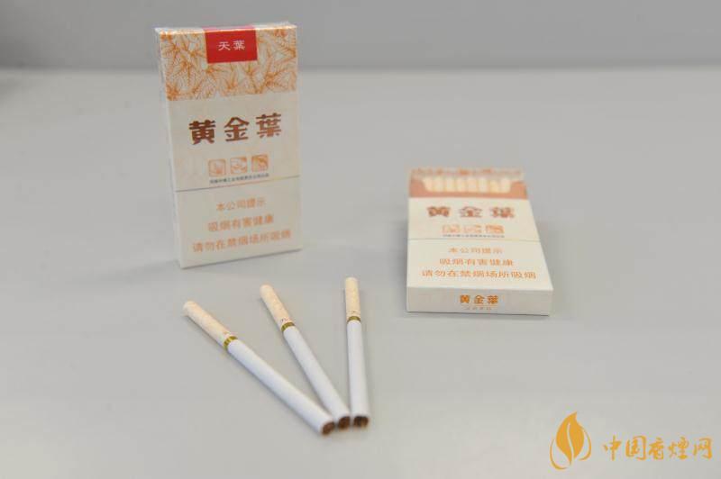 黄金叶薄荷味香烟图片