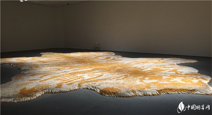 世界上最大的香烟艺术展艺术家徐冰50万根黄鹤楼香烟市值500万