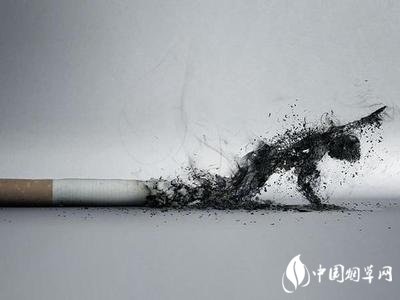 【怎样吸烟危害最小】怎样减少吸烟的危害 减少吸烟危害的有效食疗办法