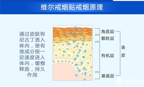 维尔戒烟贴怎么样 天津维尔戒烟贴戒烟成效高达98%