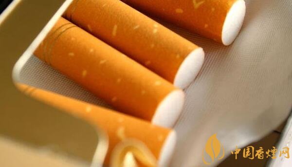 过滤嘴香烟是什么意思 香烟的烟嘴是什么材料(聚丙烯和醋酸纤维)