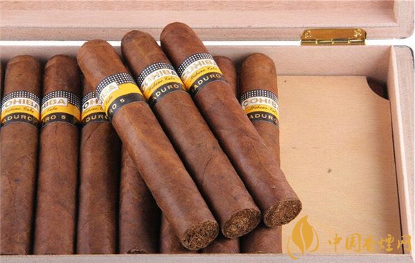古巴雪茄(高希霸大天才)多少钱一支 高希霸天才价格320元/支