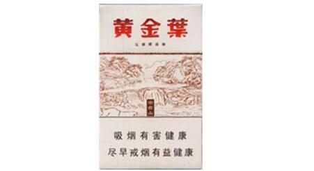 黄金叶云台山怎么样|黄金叶(云台山)怎么样 黄金叶云台山长什么样