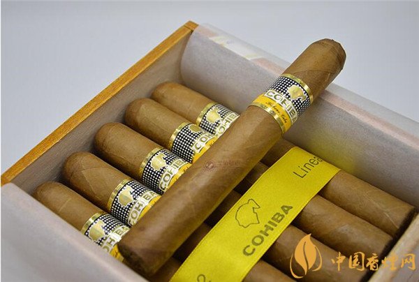 古巴雪茄(高希霸世纪6号)多少钱一盒 高希霸世纪6号价格5000元/盒