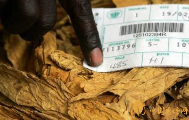 2018津巴布韦烟草价格如何 历年津巴布韦烟草价格持续下跌