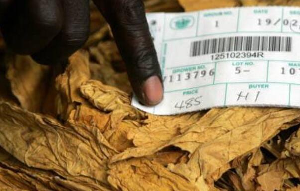 2018津巴布韦烟草价格如何 历年津巴布韦烟草价格持续下跌