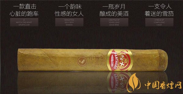 古巴雪茄(帕塔加斯短帕)价格表图 帕塔加斯短帕价格多少