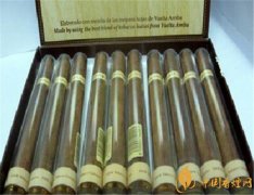 古巴雪茄(关塔那摩)价格表图 guantanamera雪茄10支多少钱