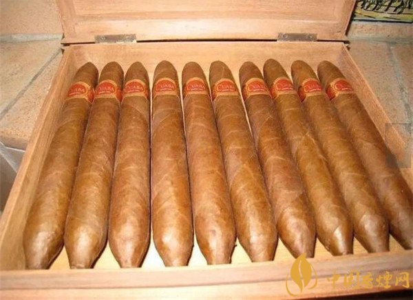 古巴雪茄(库阿巴所罗门)价格表图 库阿巴所罗门价格多少